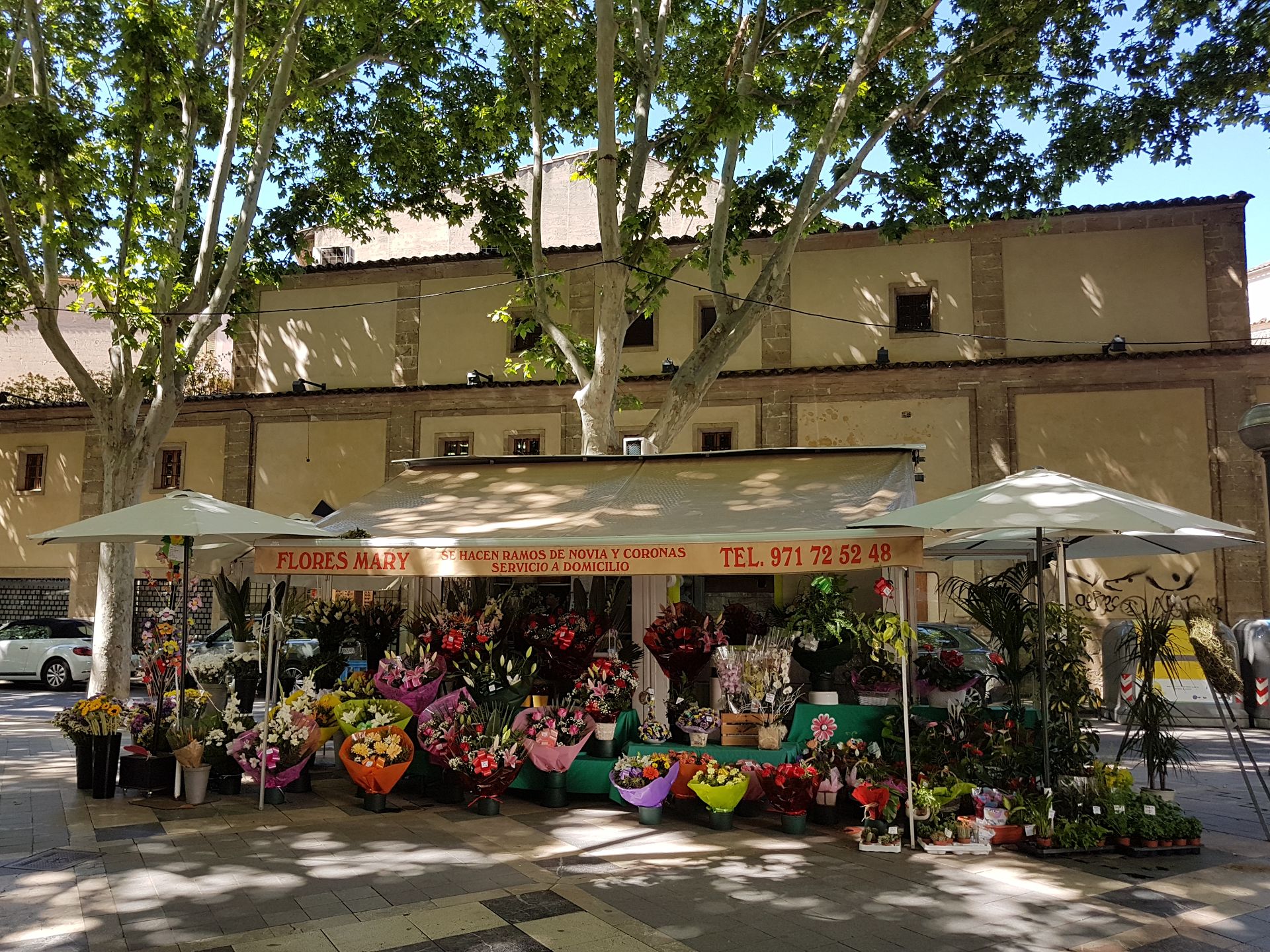 Palma de Mallorca